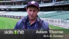 Carpeting the MCG