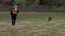 Digger: A real Aussie battler