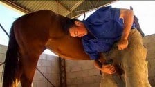 Equine Training at the AACC