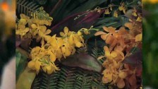 TAFE NSW Sydney Institute: Floristry at The Royal Easter Show