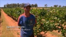 James Jarrett – Tyrrell’s Wines Employee