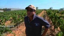 Craig Smith – Tyrrell’s Wines Employee