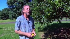 David Forrest – Production Horticulture Teacher, TAFE NSW North Coast Institute