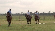 Equine Training at TAFE Western Sydney Institute